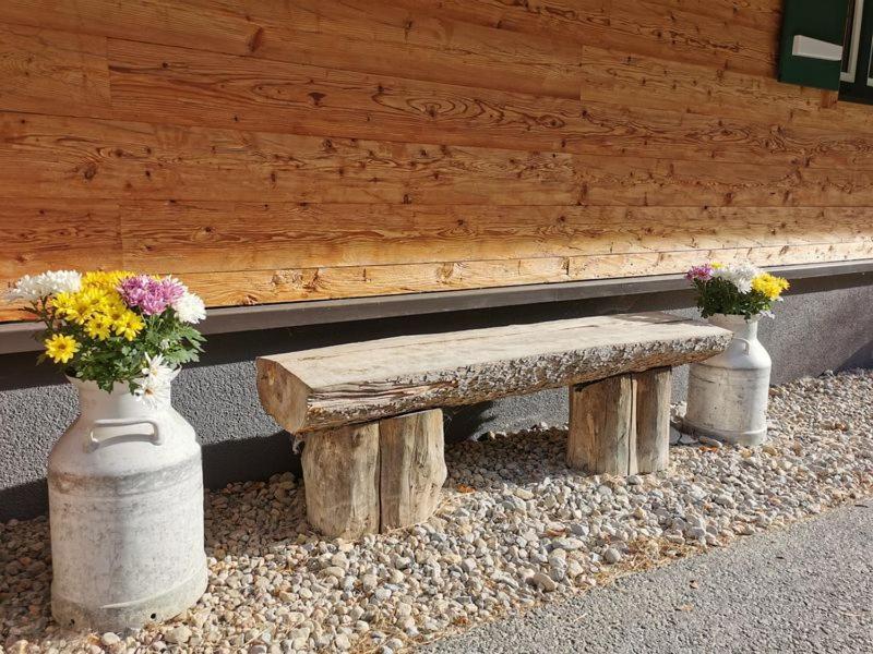 Bruecklerhof Leilighet Haus im Ennstal Eksteriør bilde